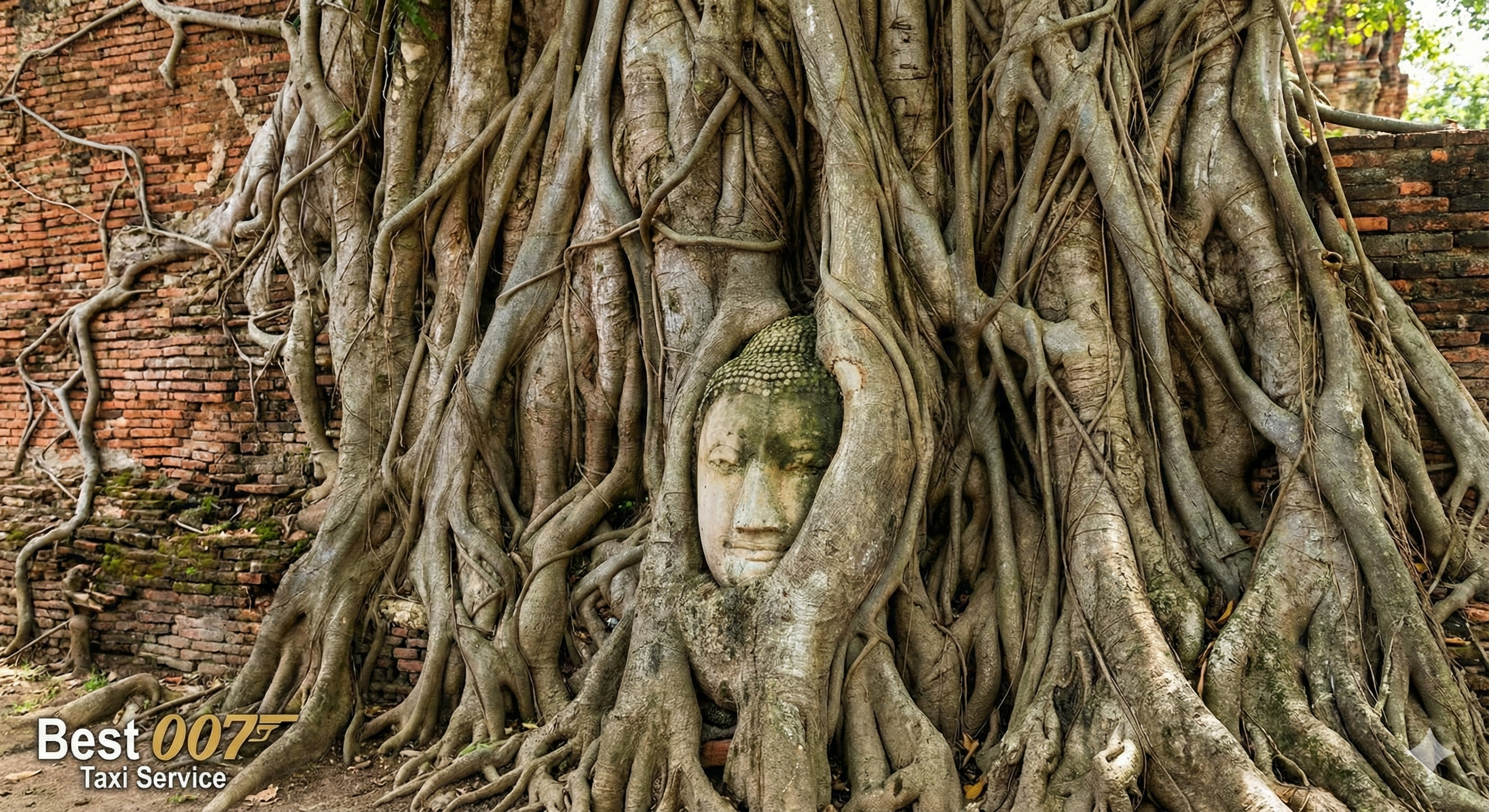 เศียรพระพุทธรูปในรากไม้ วัดมหาธาตุ